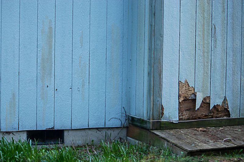 Siding Replacement Options